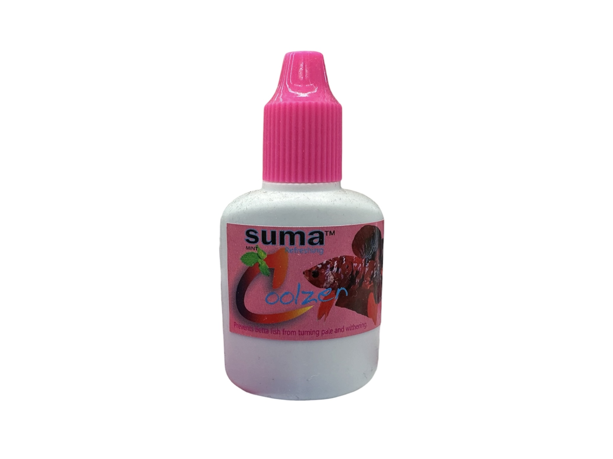 ベタ　SUMA  Coolzer