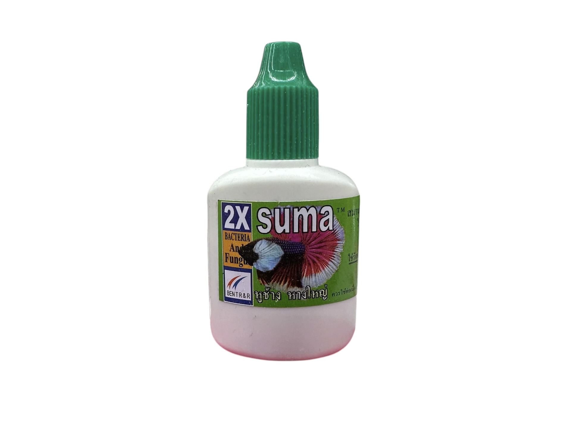 ベタ　SUMA  BACTERIA And Fungu