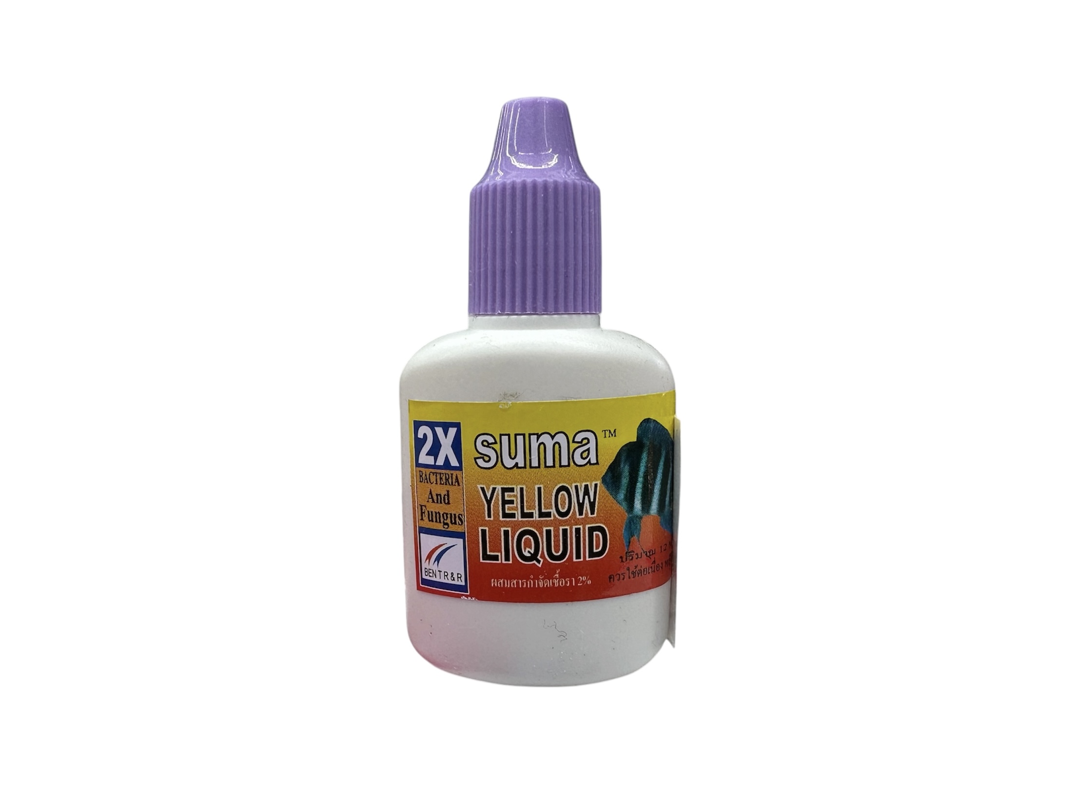 ベタ　SUMA  YELLOW LIQUID