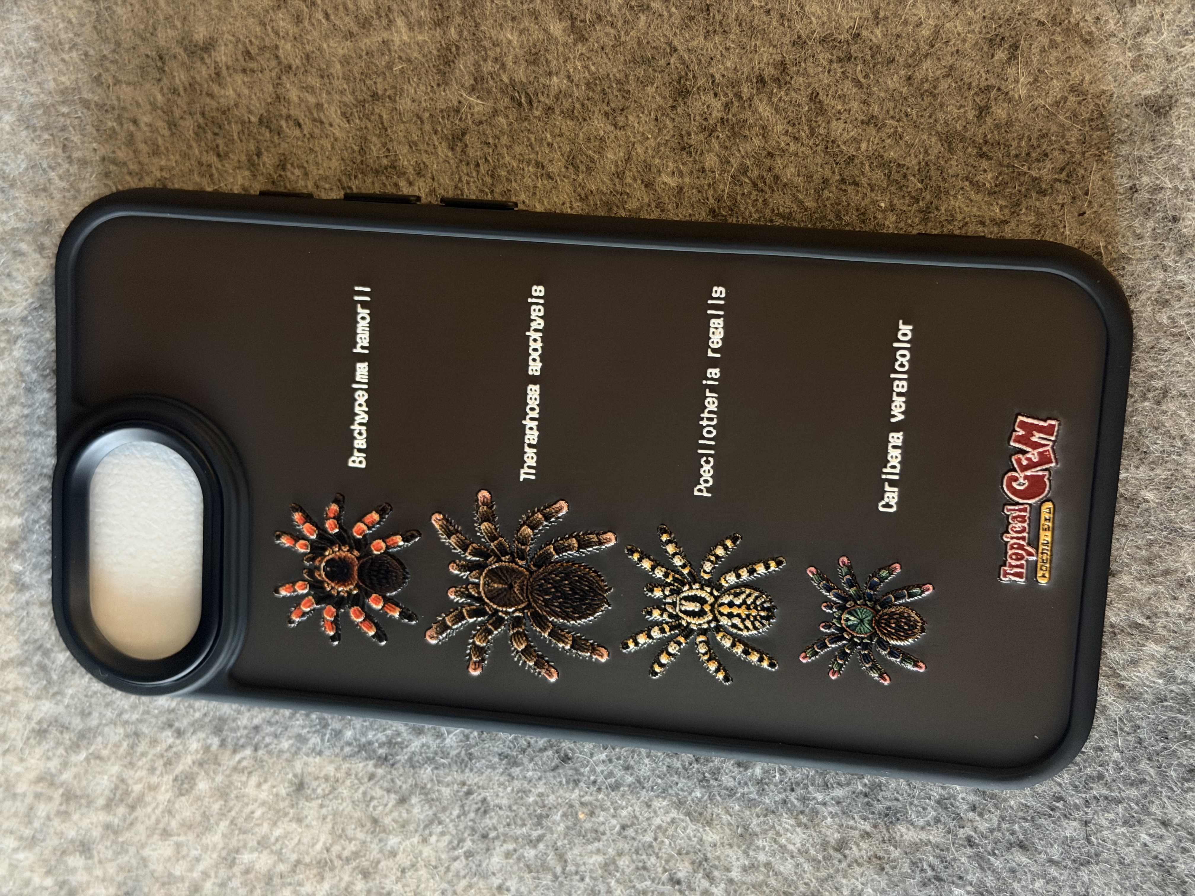 タランチュラiPhoneケース ［iPhone17e/16e用］