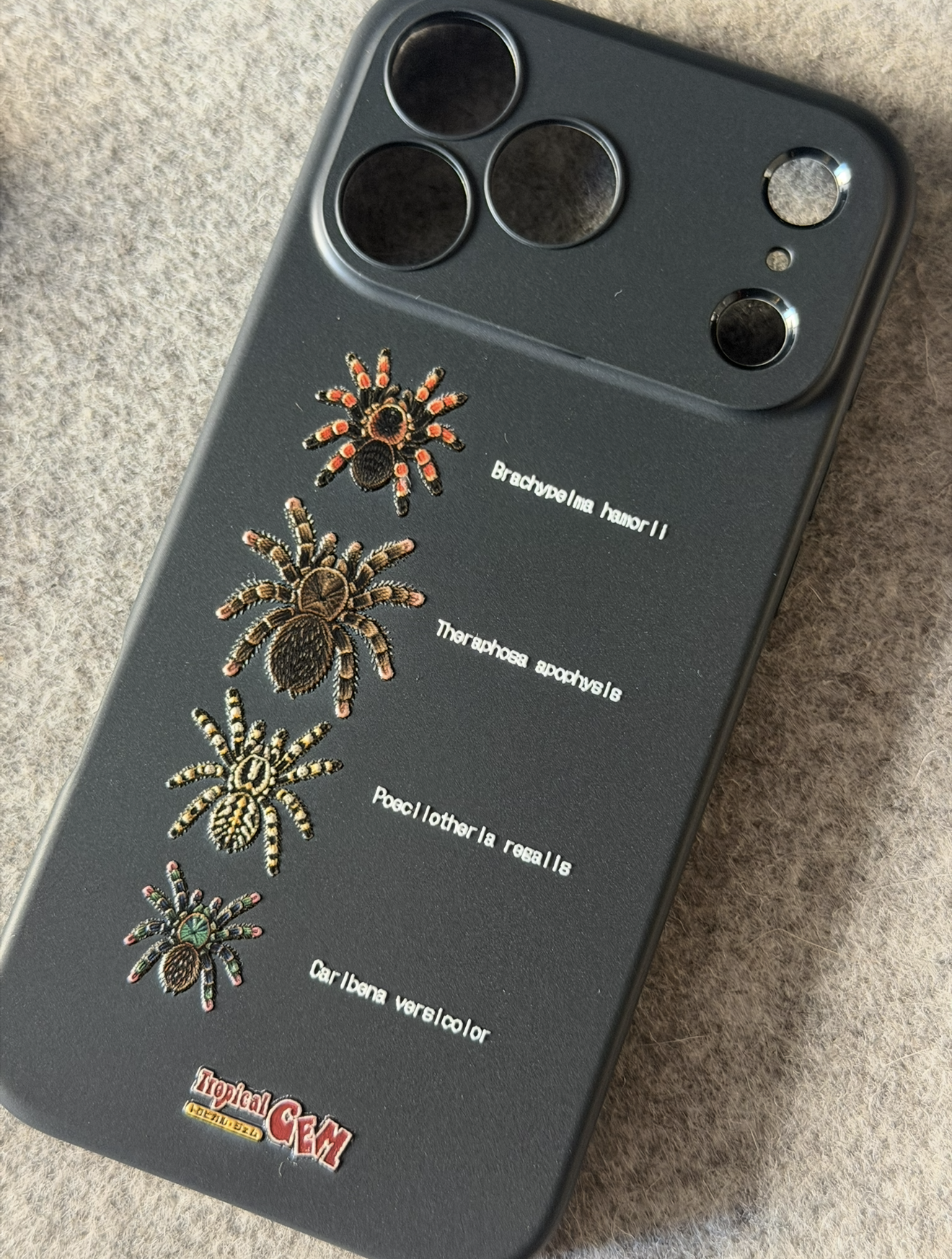 タランチュラiPhoneケース ［iPhone 17 Pro Max用］