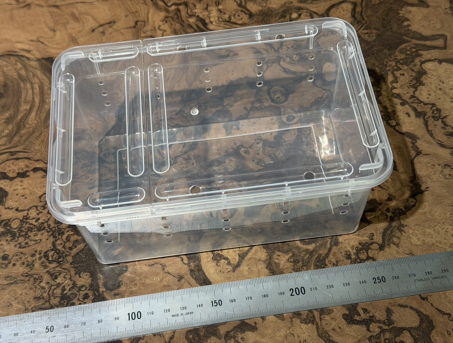 弁当箱パック