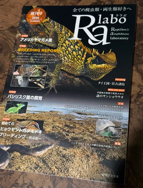 Ralabo (ララボ) No.1 創刊号