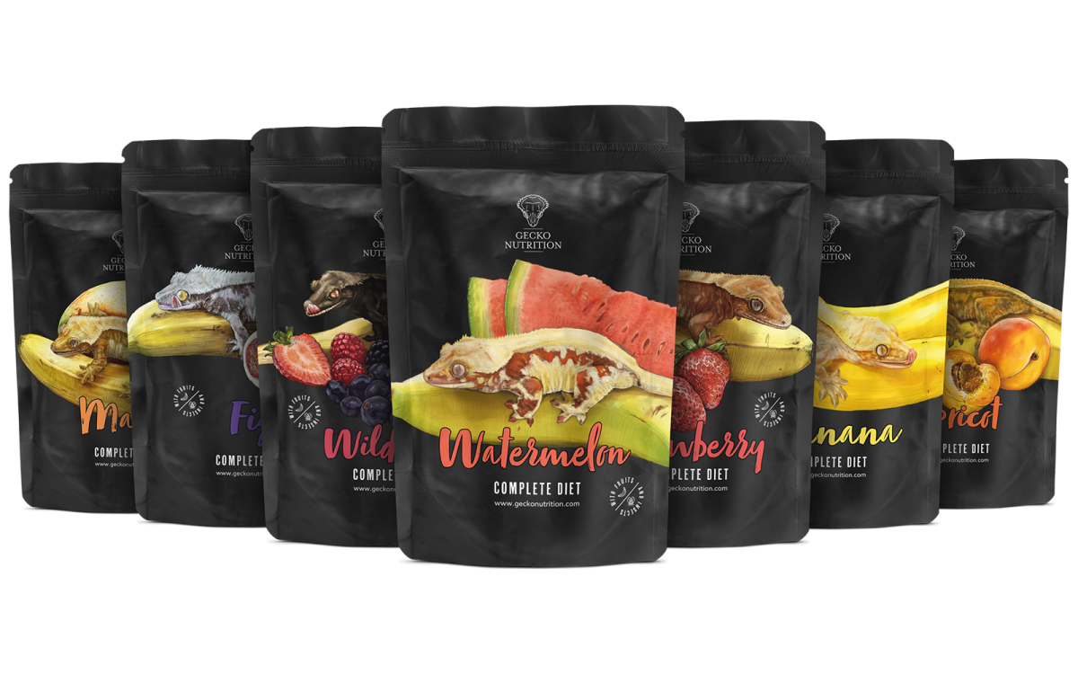 ゲッコーニュートリション 50g 7種セット