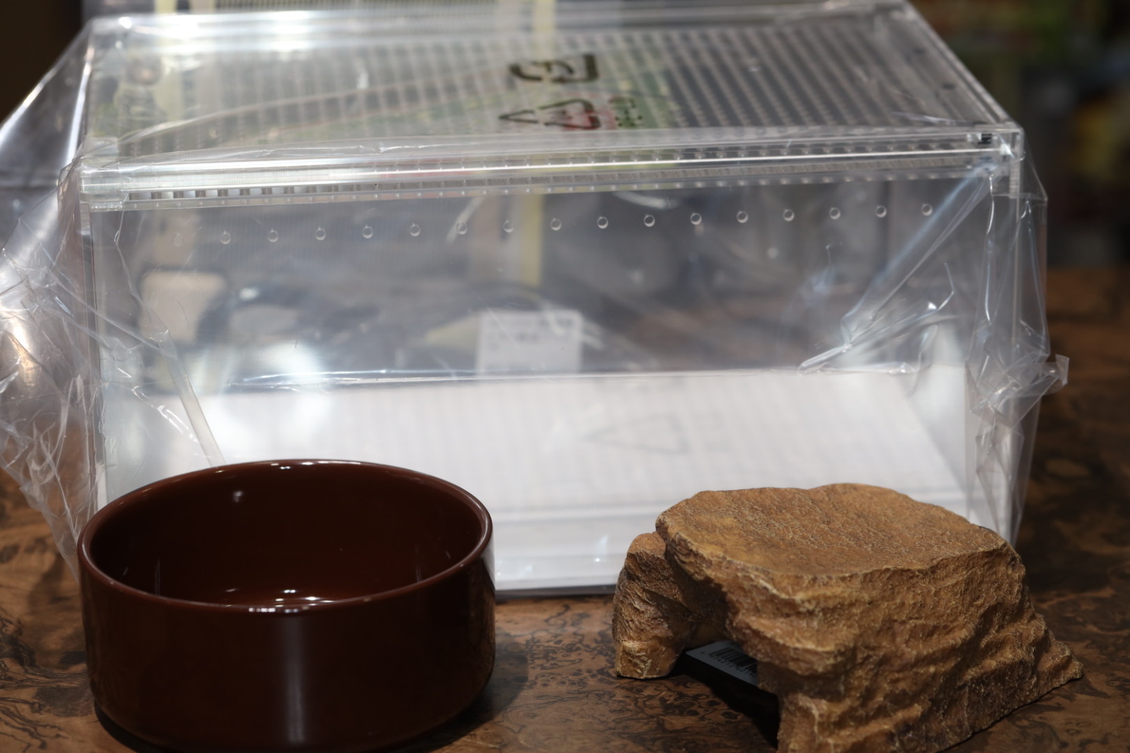 ヘビ飼育スターターセット